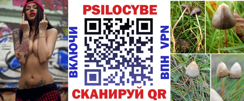 Псилоцибиновые грибы MAGIC MUSHROOMS  Купить закладки  Губкин 