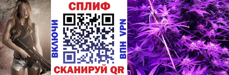 Купить  Губкин  Бошки Шишки Bruce Banner 
